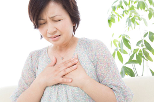 馬込駅・
                                        中馬込おがわ内科